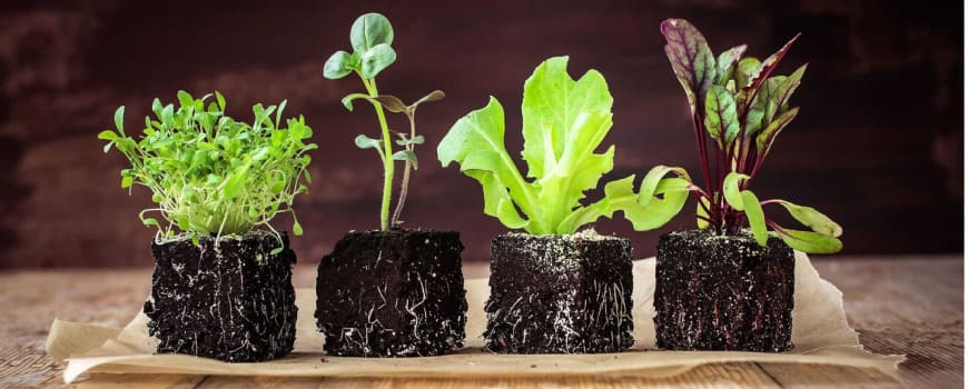 Гидрогель «Аквасин»