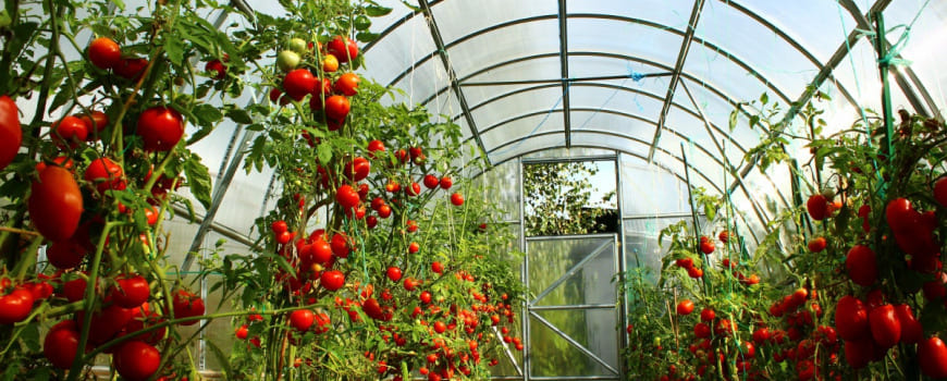 Гидрогель «Аквасин»