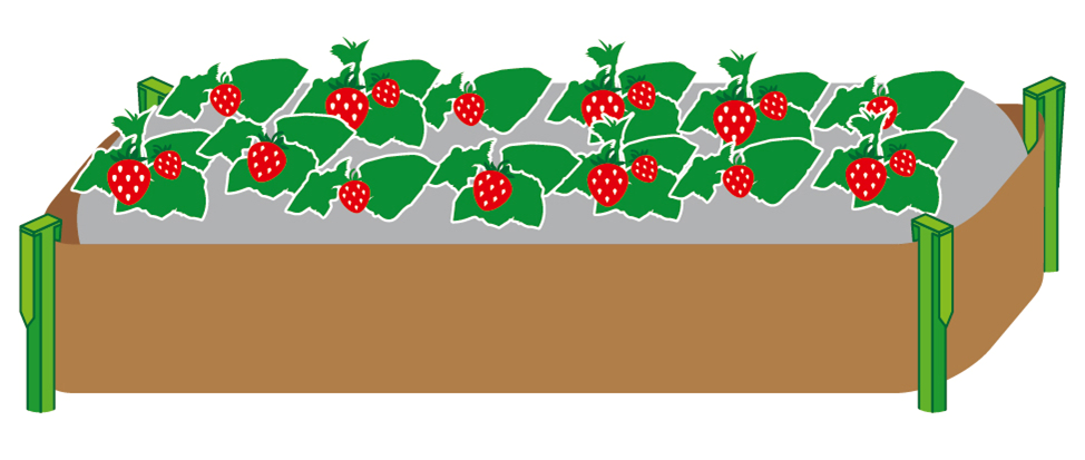 Бордюрные ленты