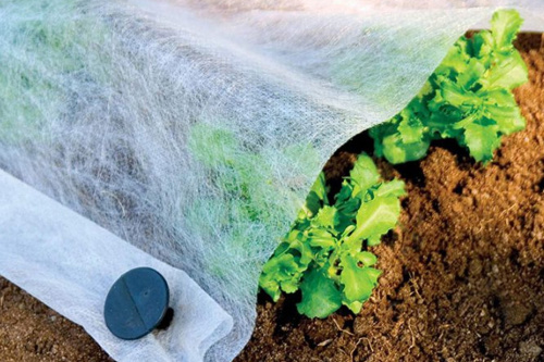 Спанбонд св/ст 30г/м2 1,6х500м БЕЛЫЙ (рулон 800м2) фото 2