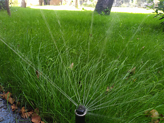 Установка системы автополива и озеленение 5000 М2