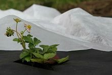 Спанбонд св/ст 17г/м2 3,2х500м БЕЛЫЙ (рулон 1600м2)