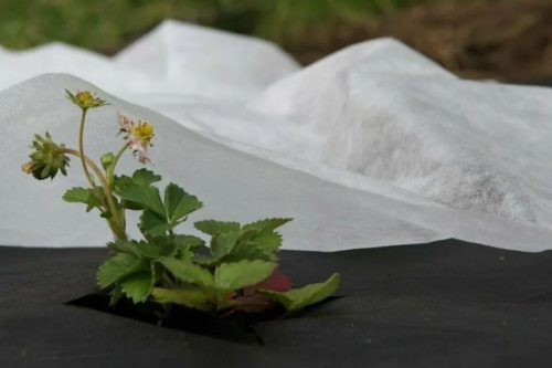 Спанбонд св/ст 17г/м2 3,2х500м БЕЛЫЙ (рулон 1600м2)