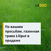 Поступление долгожданной травосмеси – LILIPUT