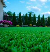 Скидка 10 % на Голландские травосмеси