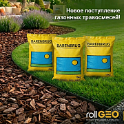 Новое поступление семян от Баренбруг