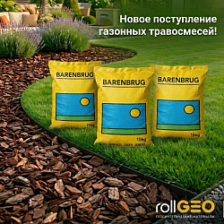 Новое поступление семян от Баренбруг