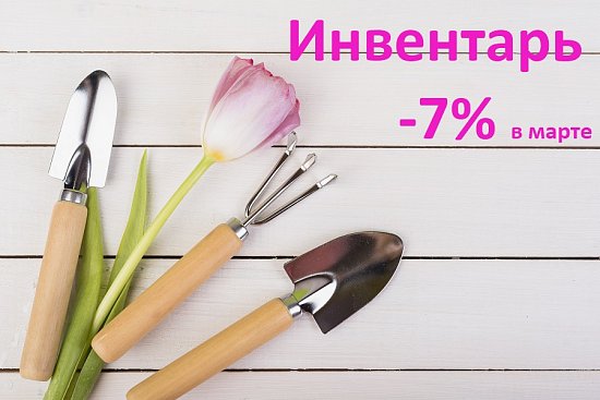 Встречаем весну правильно!