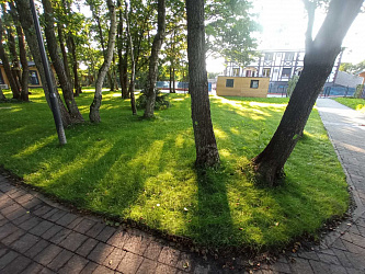 Установка системы автополива и озеленение 5000 М2