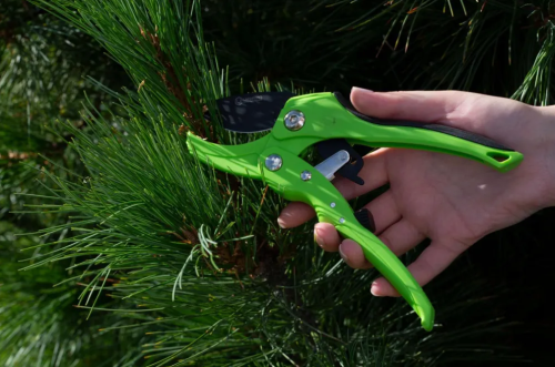 Секатор профессиональный с храповым механизмом (1244) фото 2