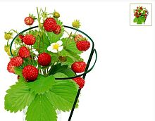 Опора под клубнику