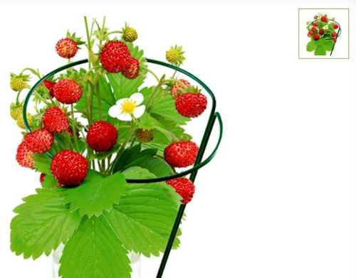 Опора под клубнику