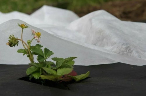 Спанбонд св/ст 17г/м2 3,2х500м БЕЛЫЙ (рулон 1600м2) фото 3