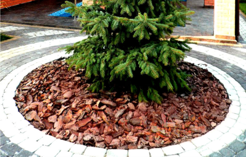 Кора фасованная (средней фракции) РС