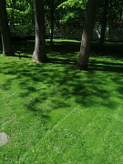 Восстановление газонного покрова в Калининградской области