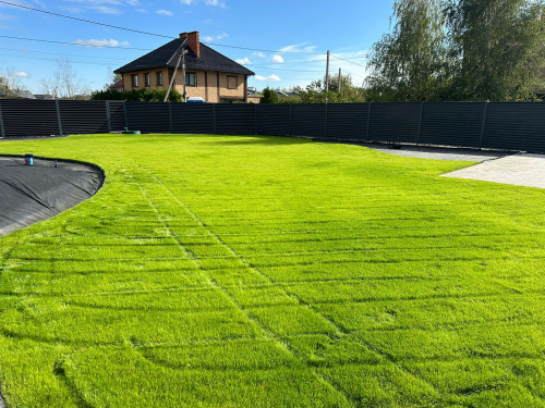 Газонная травосмесь Коттедж 5 кг (Голландия) фото 2