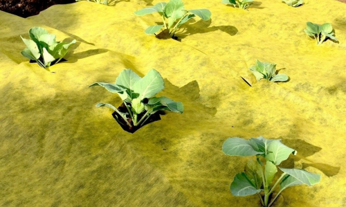 Спанбонд св/ст 80г/м2 3*100 м (рулон 300м2) желто-черный фото 2