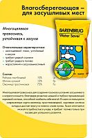 Газонная травосмесь Влагосберегающая/Засухоустойчивая 15 кг (Голландия)