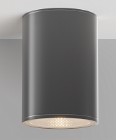 Потолочный светильник Bar O306CL-L12GF