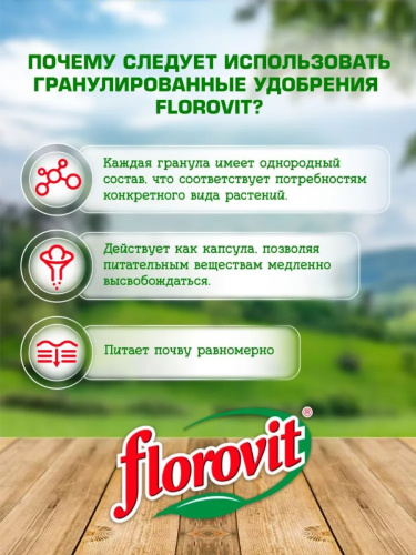 Удобрение Florovit для хвойных, 1 кг фото 2