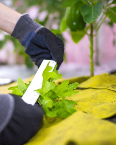 Спанбонд св/ст 80г/м2 3*100 м (рулон 300м2) желто-черный фото 3