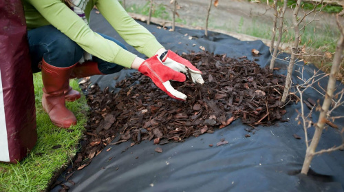 Кора фасованная (мульча) РС фото 2