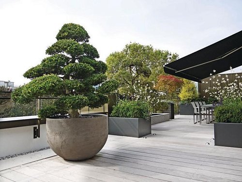 Вазон №3 фото 2