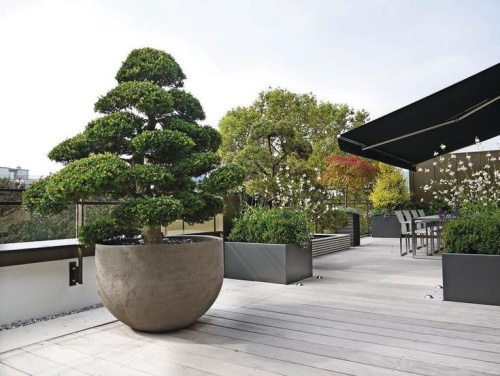 Вазон №3 фото 2