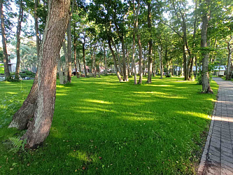 Установка системы автополива и озеленение 5000 М2