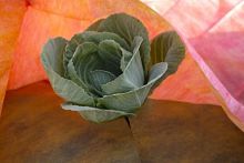 Спанбонд св/ст 40г/м2 1,6*200 м (рулон 320м2) красно-желтый