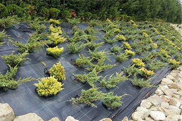 Поступление товара на склад: агроткань 70 гр/м2