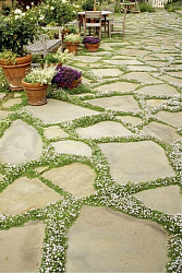 В наличии плитняк 3 см и 5 см!