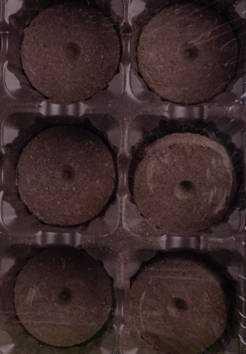 Комплект для выращивания рассады с торфяными таблетками (24 табл.d 41,кассеты,лоток) фото 2