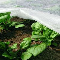 Спанбонд св/ст 60г/м2 1,6х300м БЕЛЫЙ (рулон 480м2)