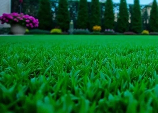 Скидка 10 % на Голландские травосмеси